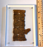 The Old Testament Collection - 10 Commandments, Genesis 1, Psalm 23