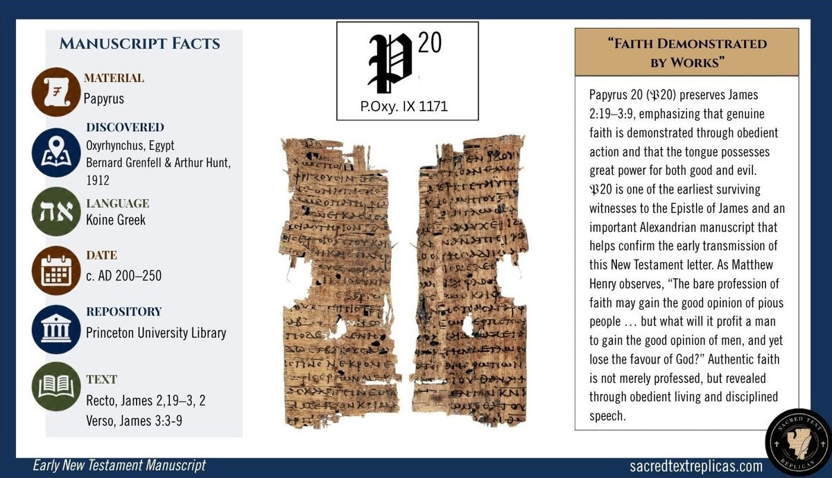 Papyrus 20