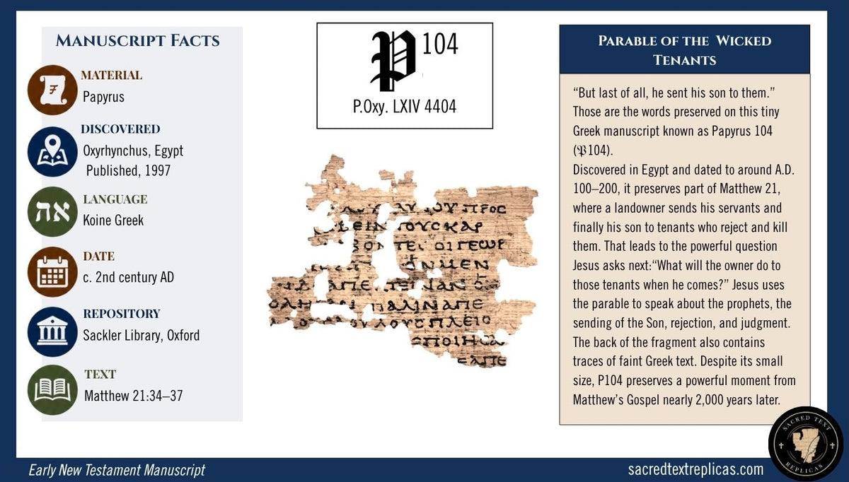 Papyrus 104
