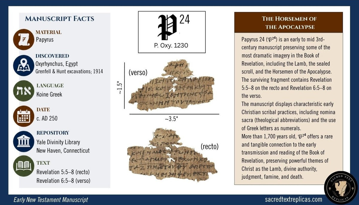 Papyrus 24