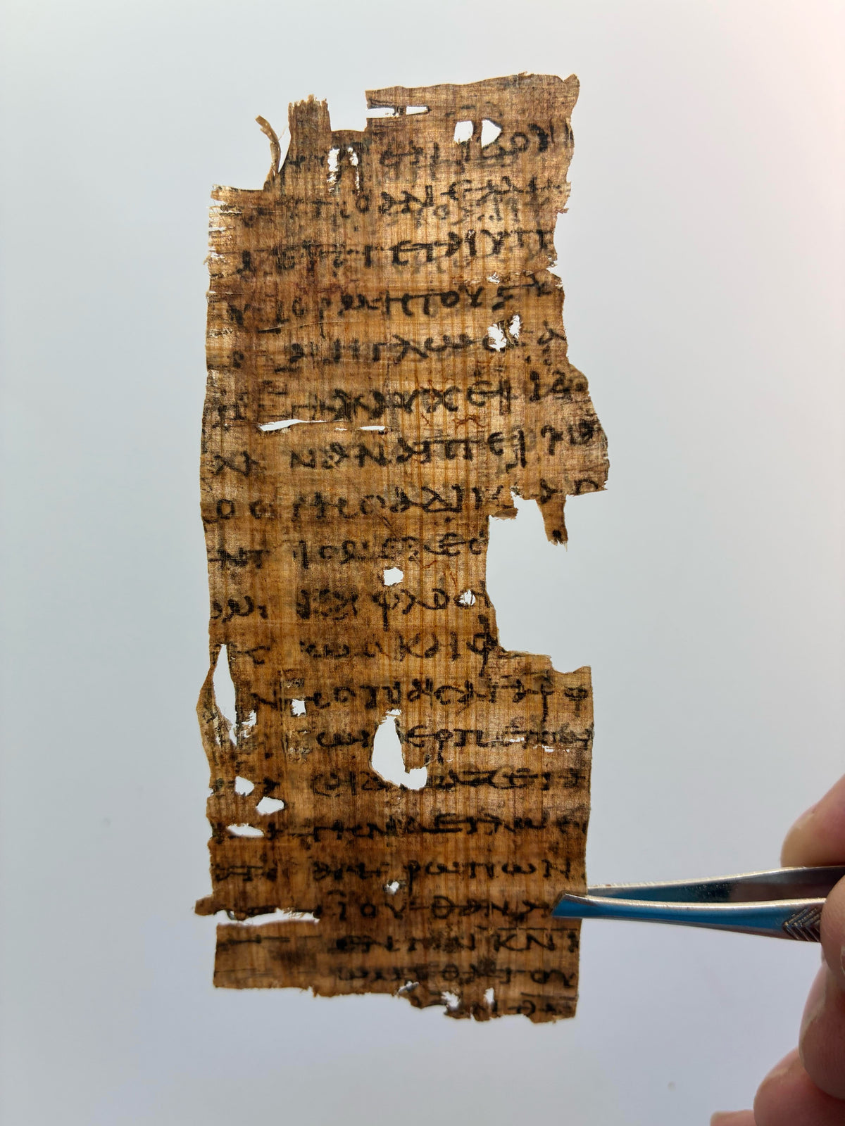 Faith Demonstrated by Works | Papyrus 20 Replica | James 2–3 | P.Oxy. IX 1171