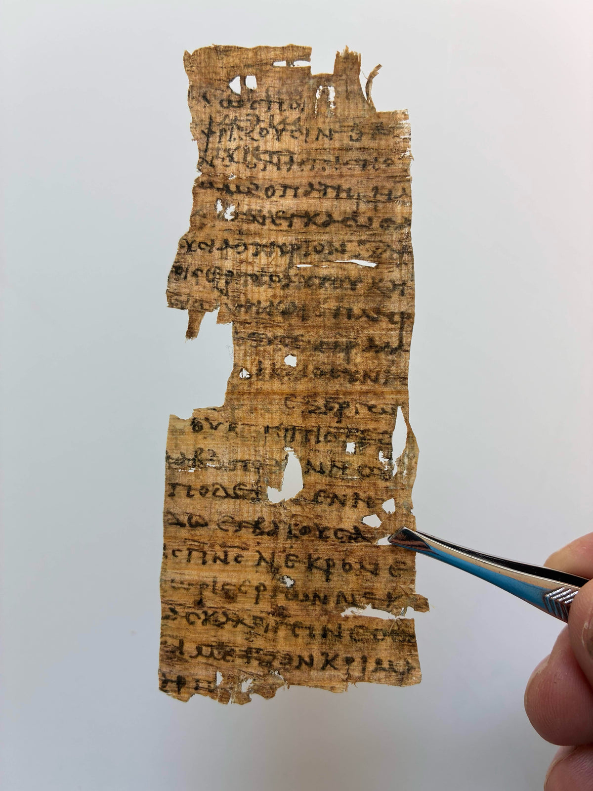 Faith Demonstrated by Works | Papyrus 20 Replica | James 2–3 | P.Oxy. IX 1171