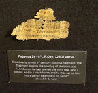 Apocalypse Papyrus Replicas | Framed Ancient Book of Revelation Fragments Collection (16x20 Open Shadowbox)