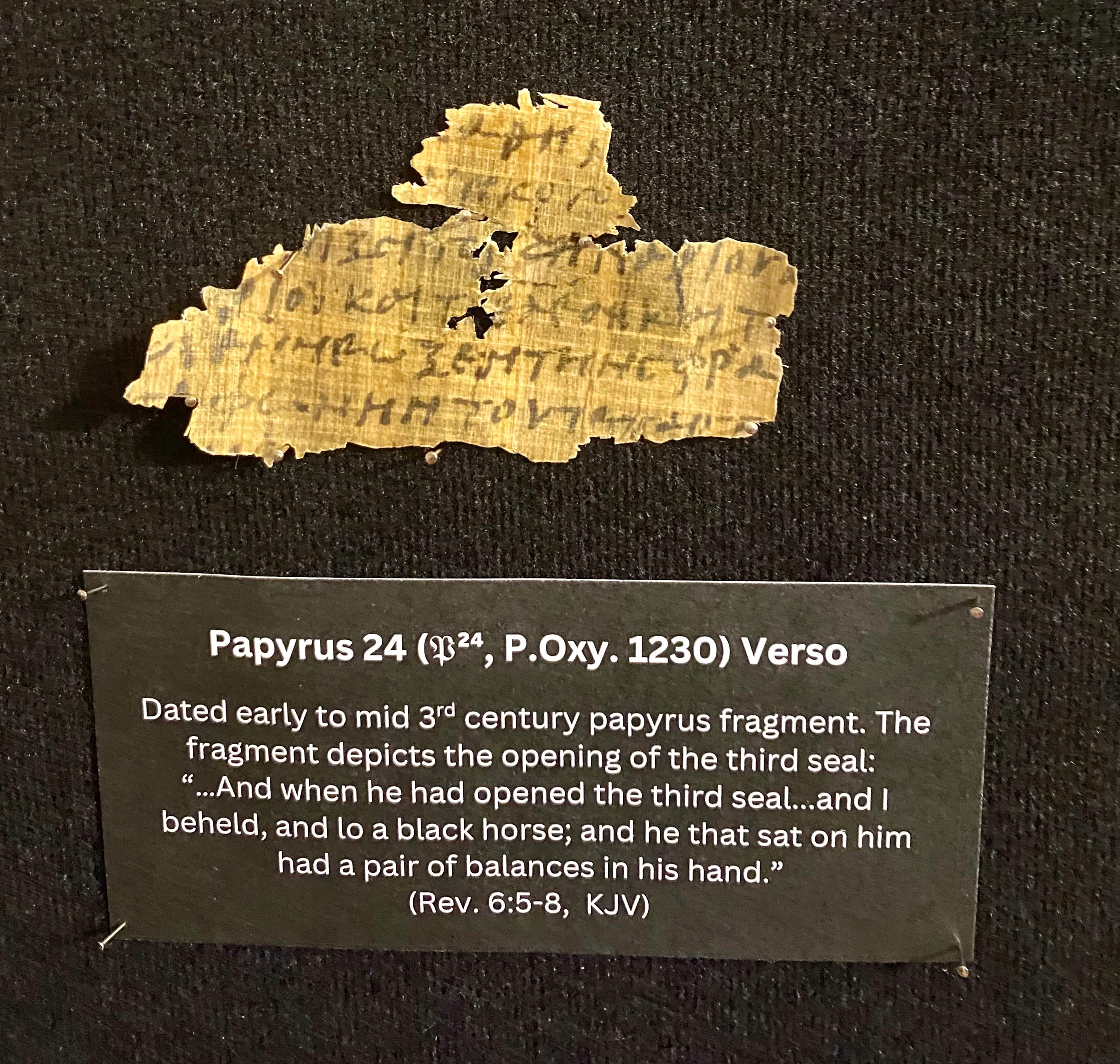 Apocalypse Papyrus Replicas | Framed Ancient Book of Revelation Fragments Collection (16x20 Open Shadowbox)