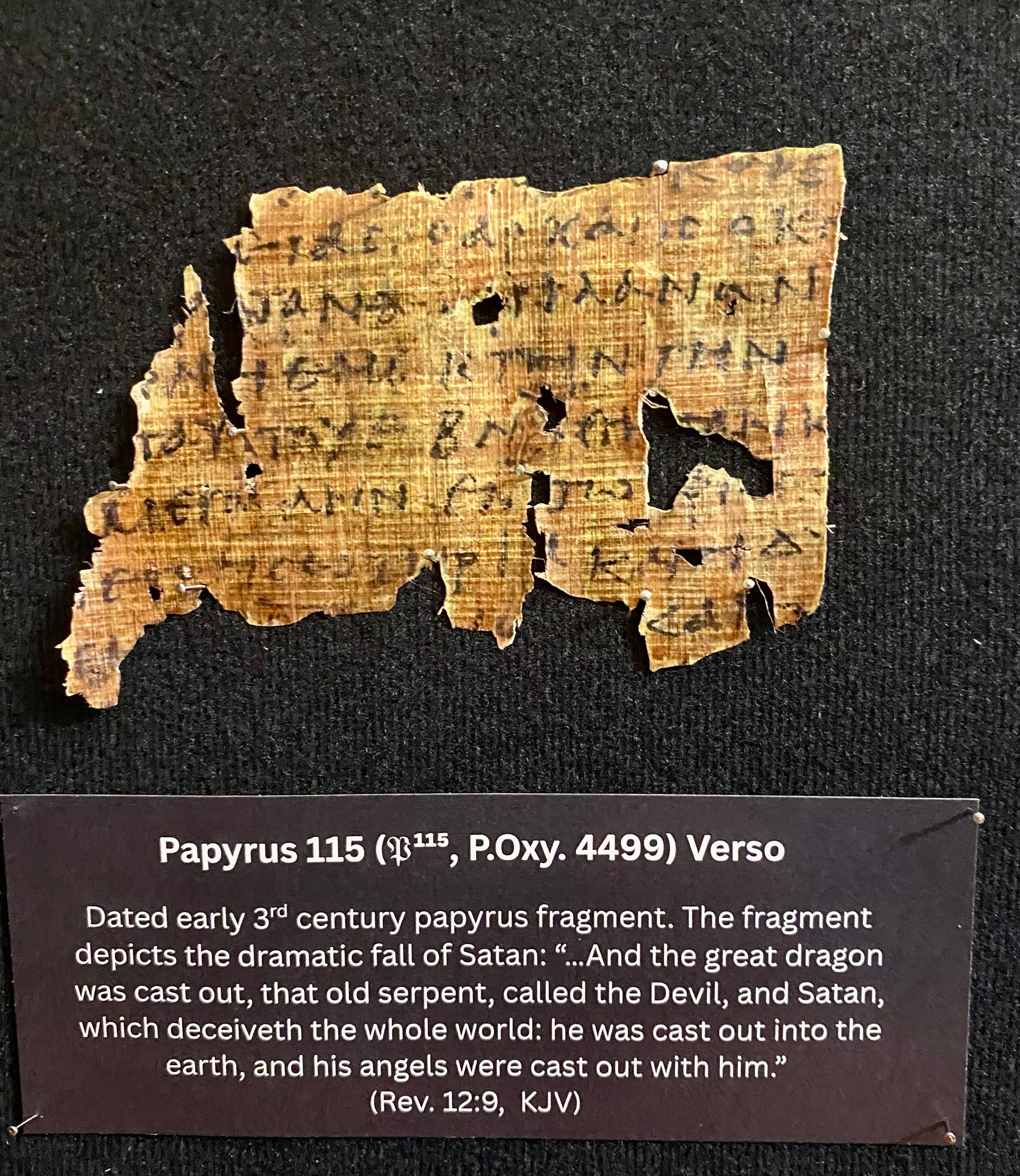 Apocalypse Papyrus Replicas | Framed Ancient Book of Revelation Fragments Collection (16x20 Open Shadowbox)