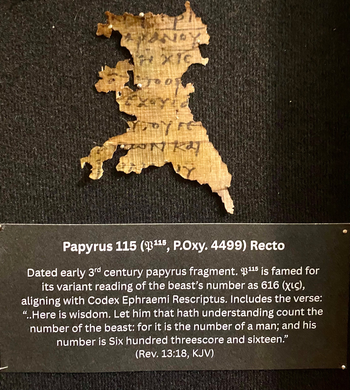 Apocalypse Papyrus Replicas | Framed Ancient Book of Revelation Fragments Collection (16x20 Open Shadowbox)