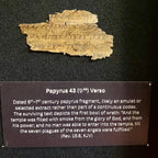 Apocalypse Papyrus Replicas | Framed Ancient Book of Revelation Fragments Collection (16x20 Open Shadowbox)