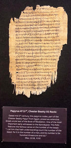 Apocalypse Papyrus Replicas | Framed Ancient Book of Revelation Fragments Collection (16x20 Open Shadowbox)