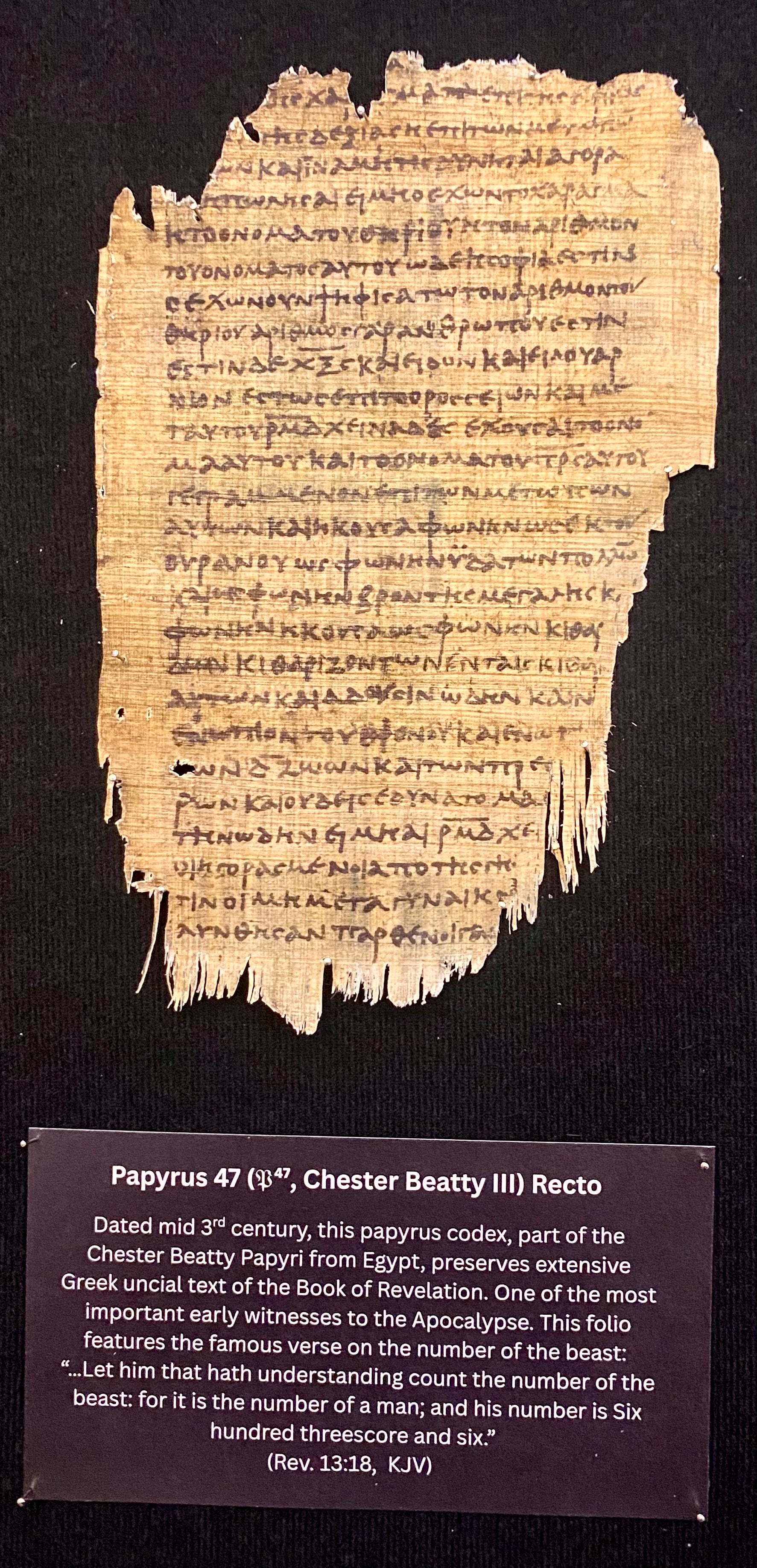 Apocalypse Papyrus Replicas | Framed Ancient Book of Revelation Fragments Collection (16x20 Open Shadowbox)