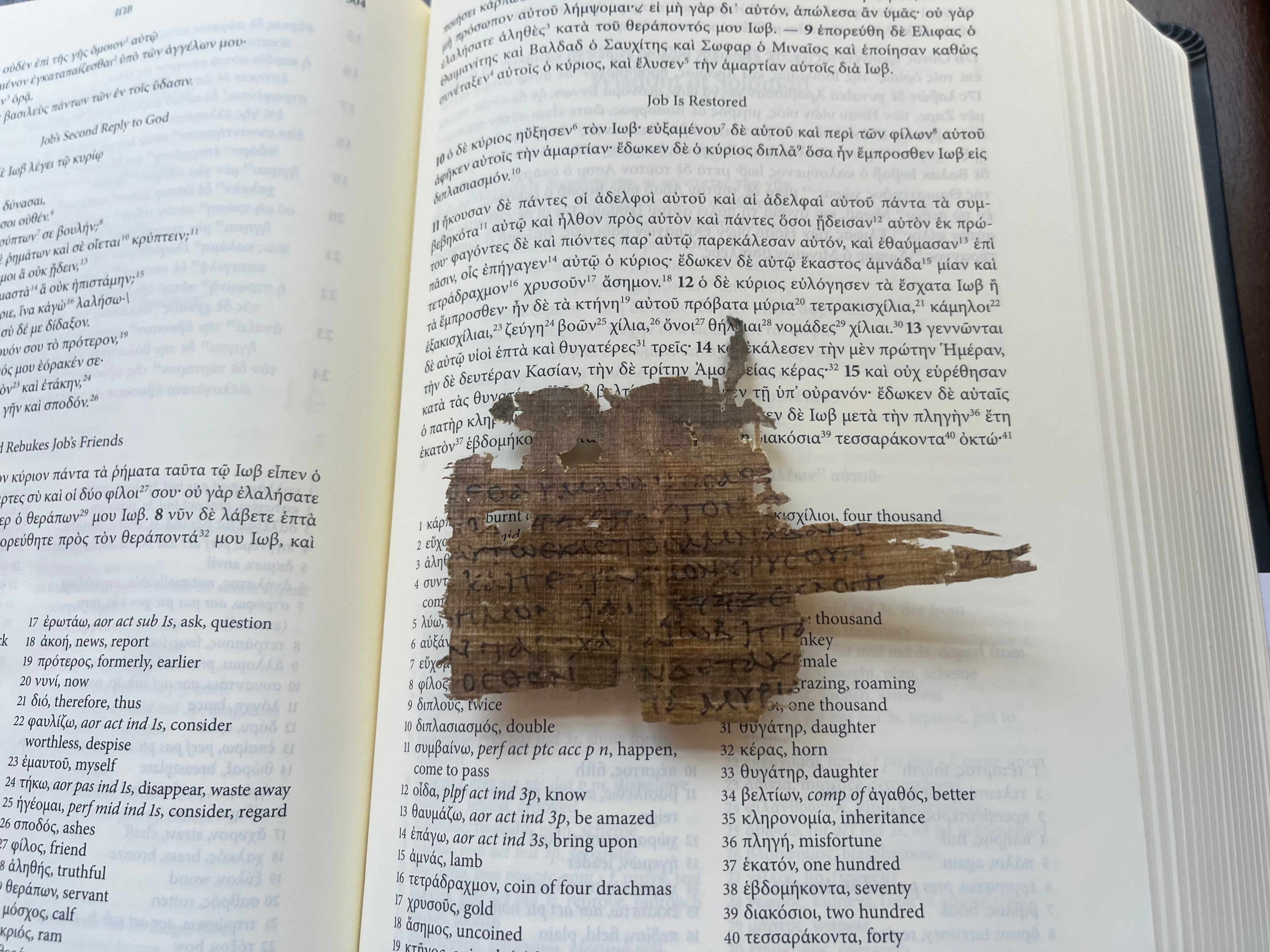 The Lord Blesses Job | Job 42 Papyrus | Oxyrhynchus 3522 LXX Replica