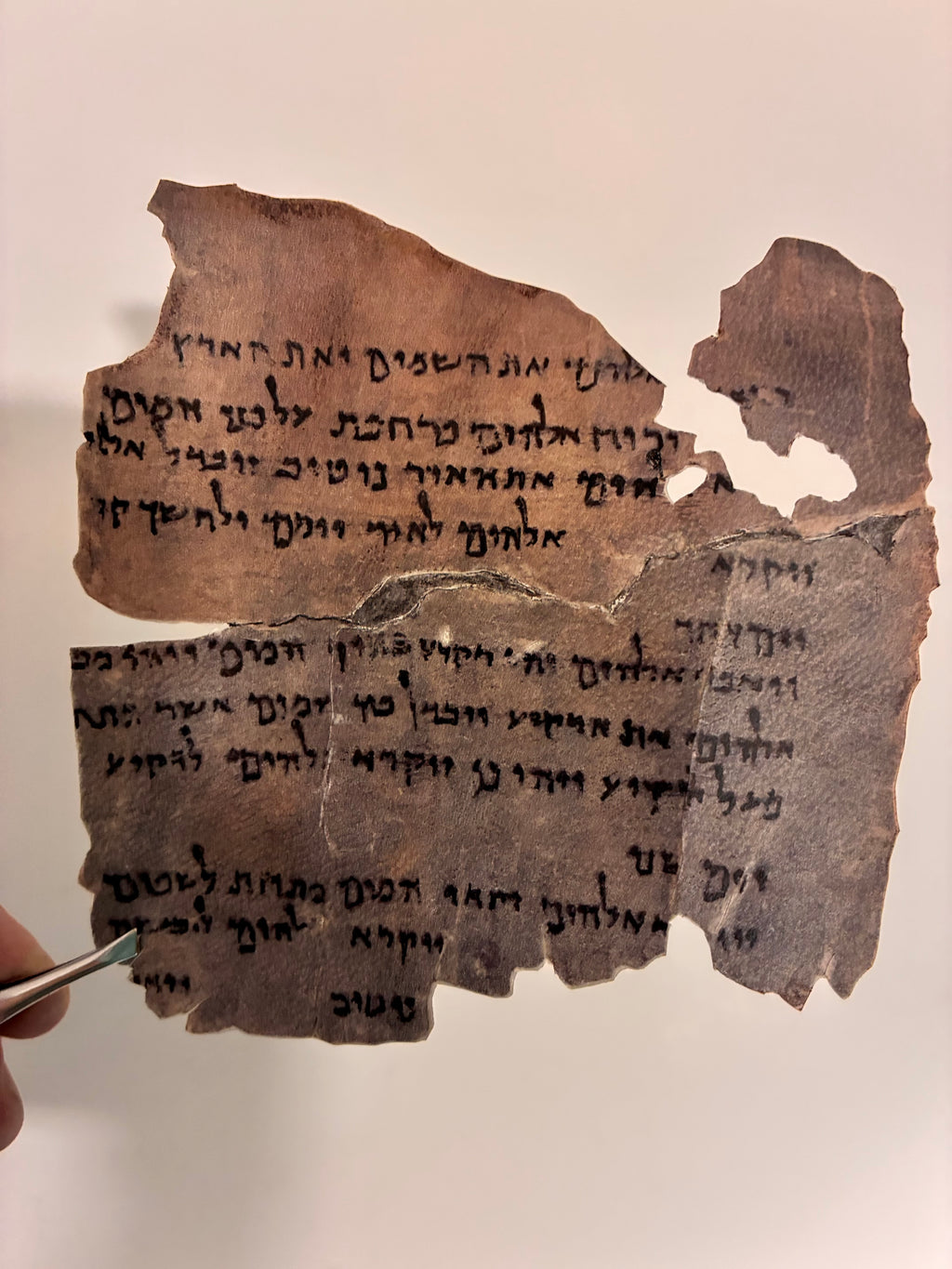 Genesis 1 Dead Sea Scroll Replica on Real Goat Vellum | "In the Beginning God Created..."