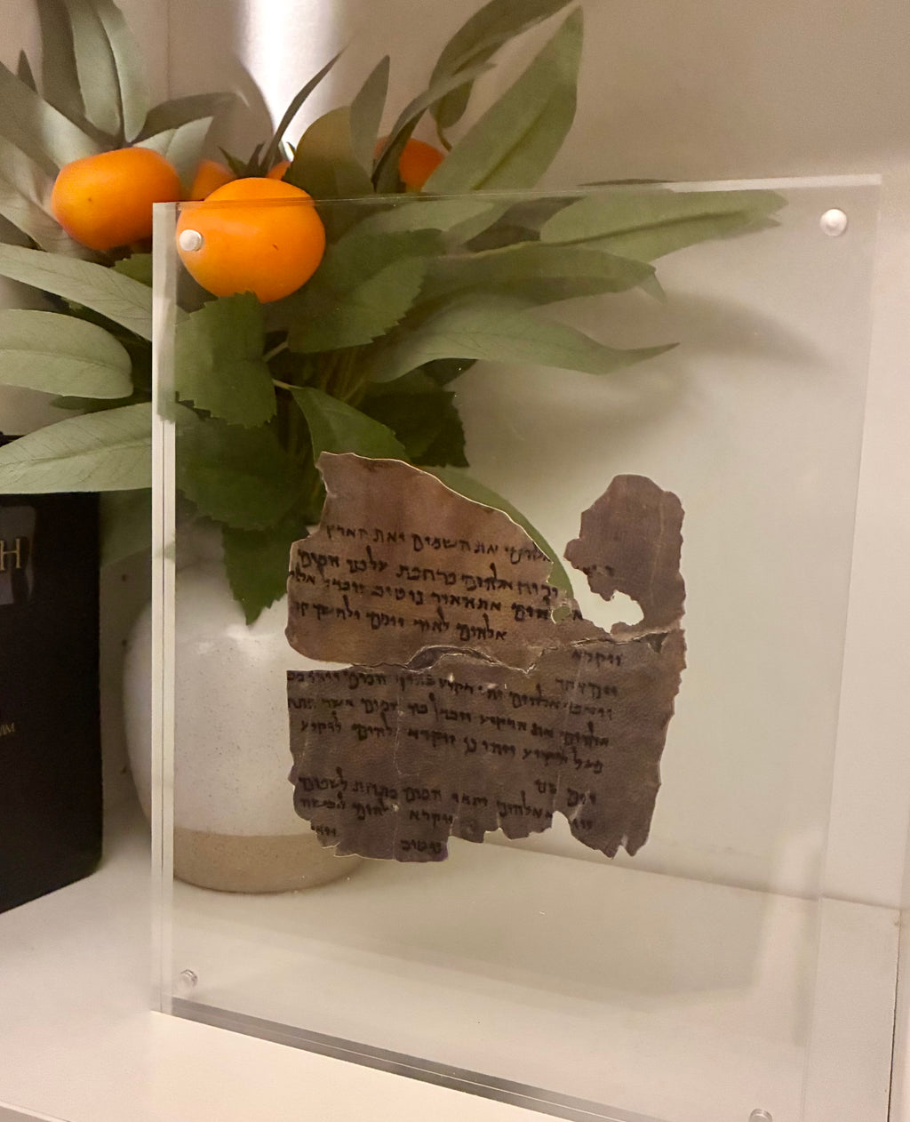 Genesis 1 Dead Sea Scroll Replica on Real Goat Vellum | "In the Beginning God Created..."