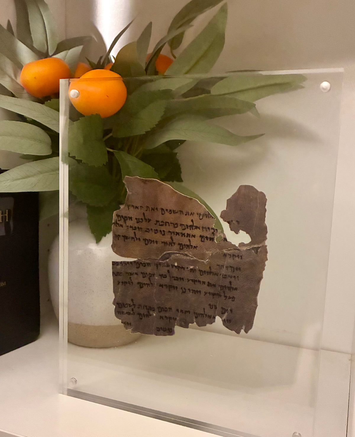 Genesis 1 Dead Sea Scroll Replica on Real Goat Vellum | "In the Beginning God Created..."