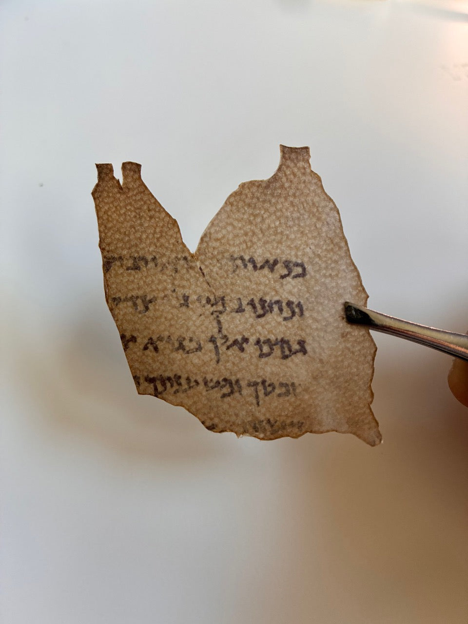 Psalm 23 Dead Sea Scroll Replica | He Leads Me Beside Still Waters