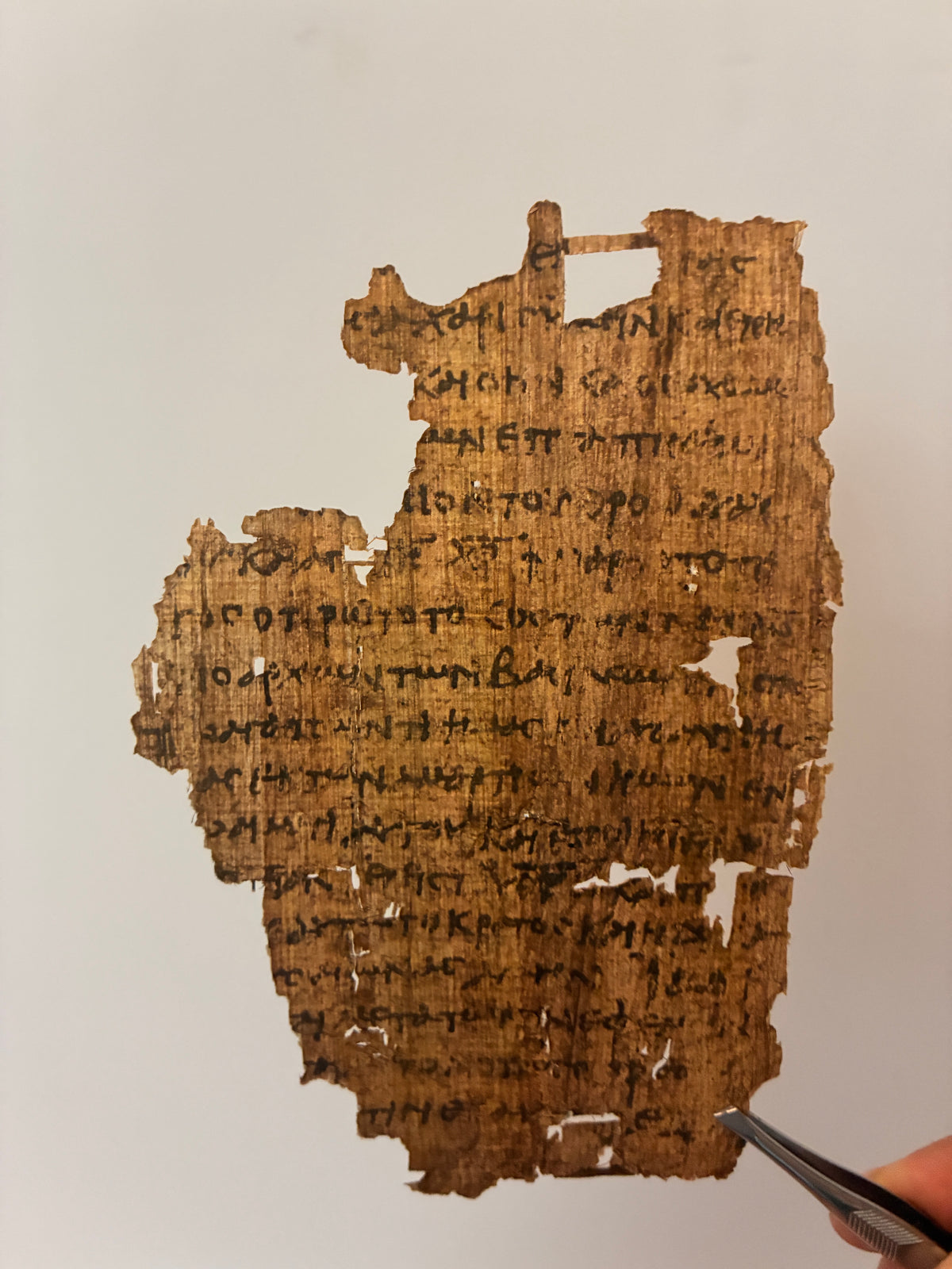 Papyrus 18 Old & New testament Manuscript Typology | Replica of Exodus & Revelation on Single Leaf