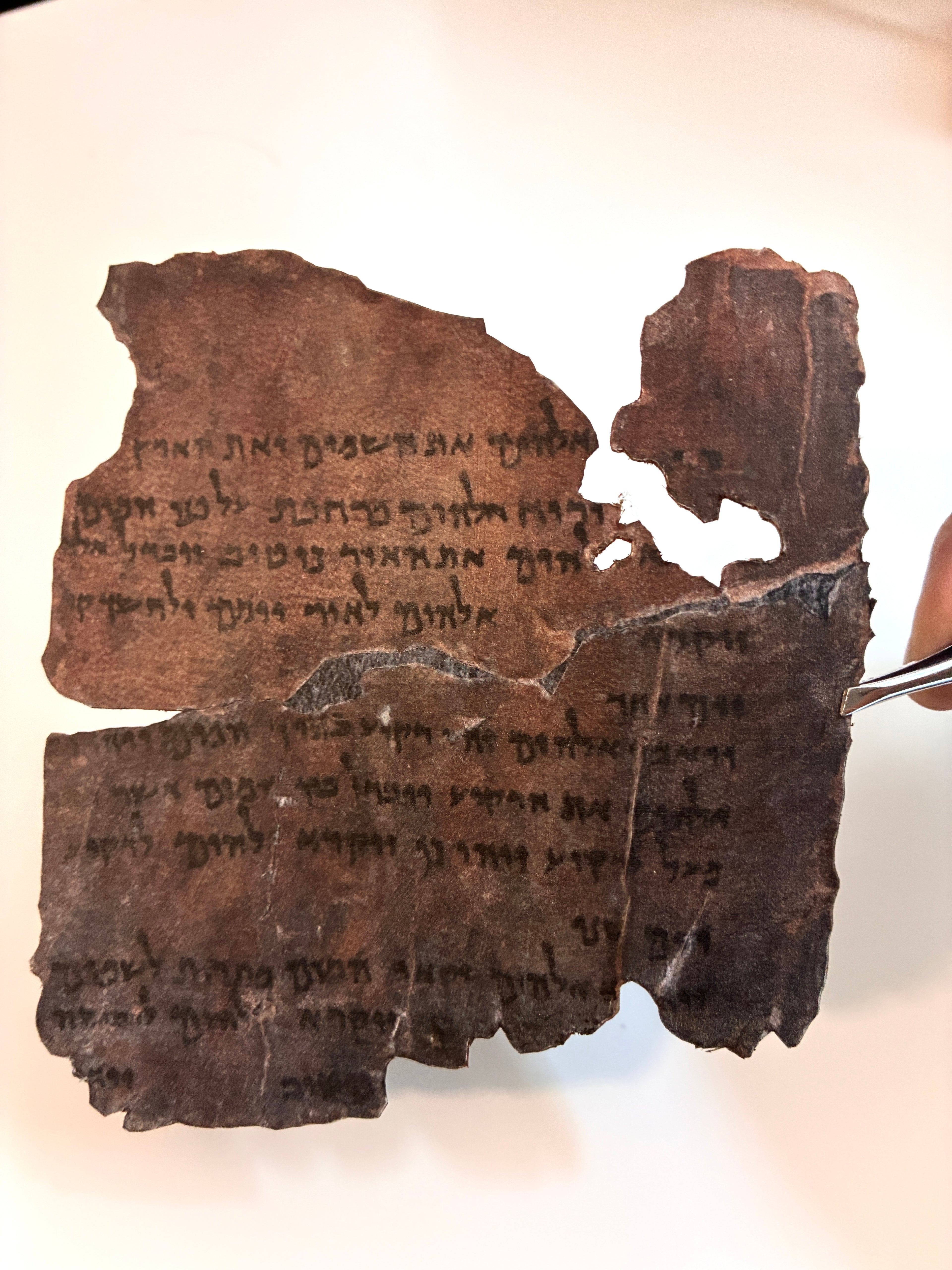 Genesis 1 Dead Sea Scroll Replica on Real Goat Vellum | "In the Beginning God Created..."