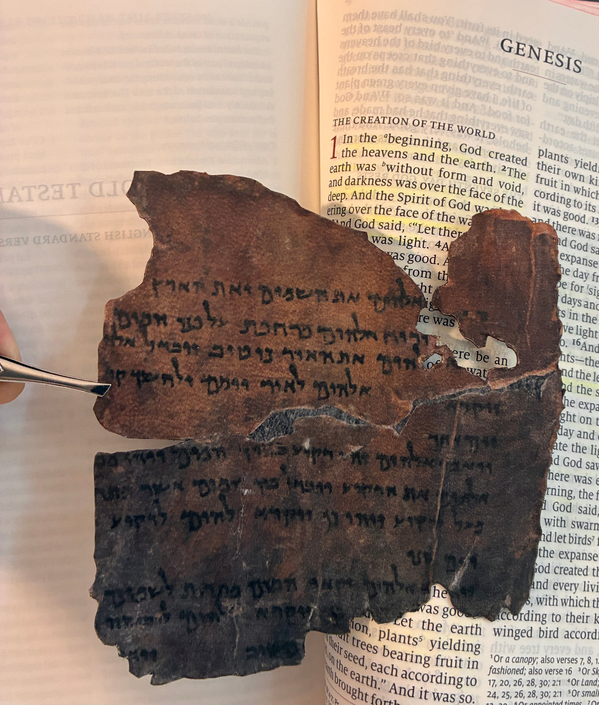 Genesis 1 Dead Sea Scroll Replica on Real Goat Vellum | "In the Beginning God Created..."