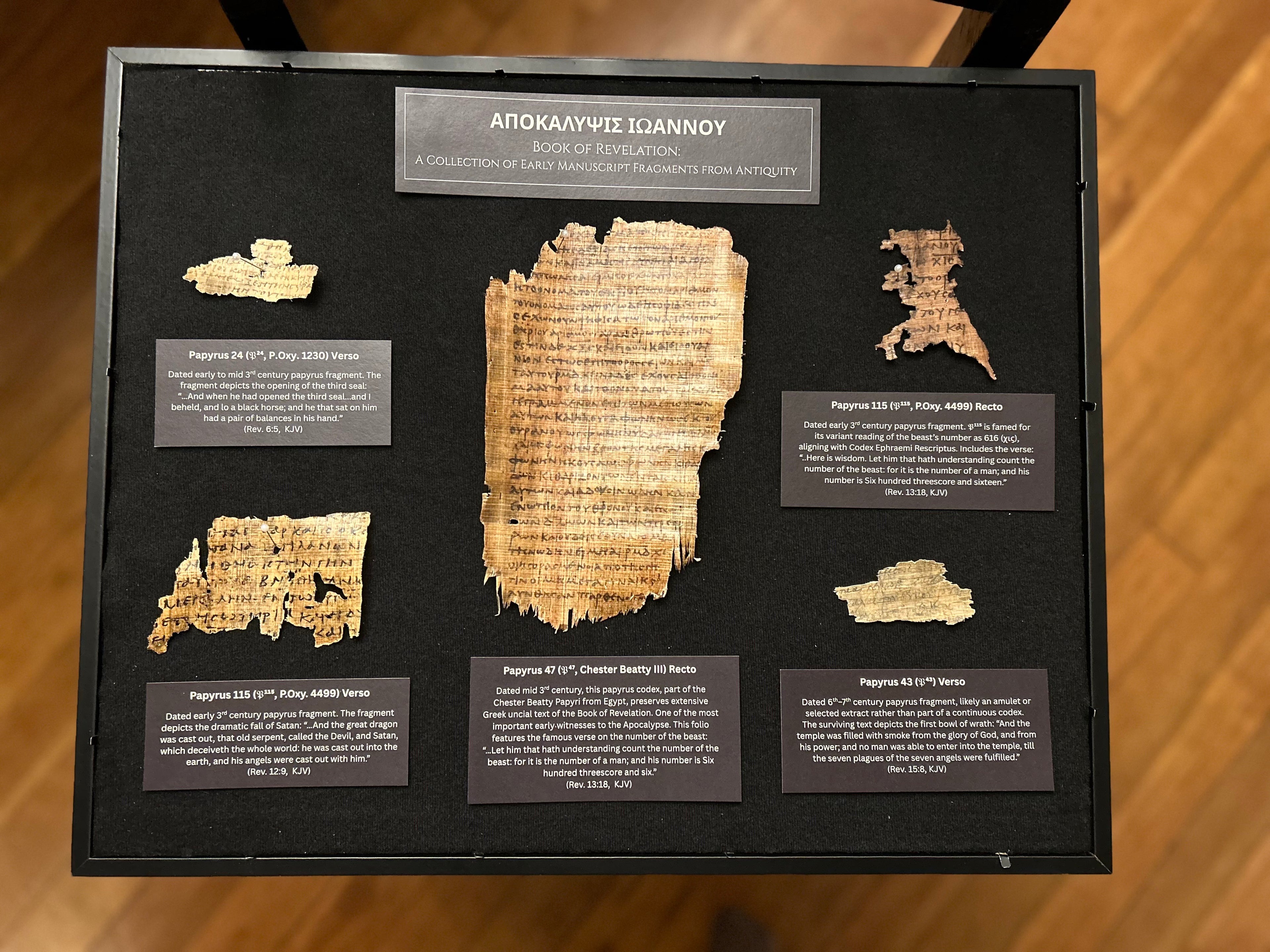 Apocalypse Papyrus Replicas | Framed Ancient Book of Revelation Fragments Collection (16x20 Open Shadowbox)
